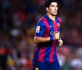 平台结构介绍详解：必一运动B·Sport